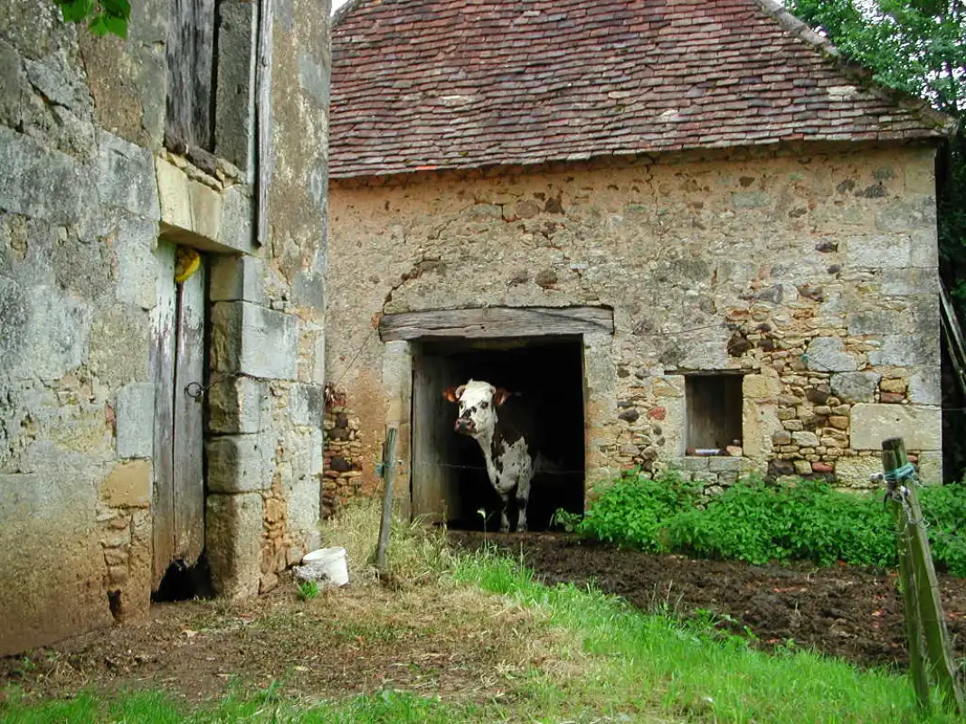 Landelijke omgeving bij de Dordogne 