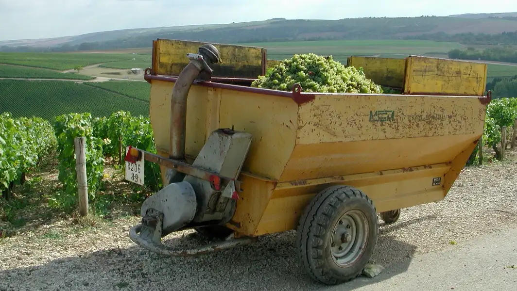 Vendanges Bourgogne en Beaujolais Vendanges Bourgogne en Beaujolais
