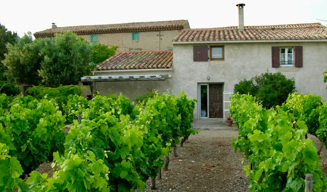 Gîte in de wijngaarden van de Languedoc Gîte in de wijngaarden van de Languedoc
