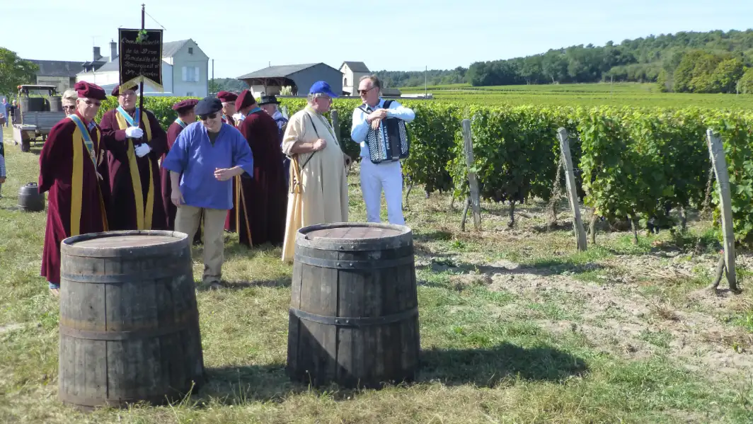 De vendange, de druivenpluk in Frankrijk De vendange, de druivenpluk in Frankrijk