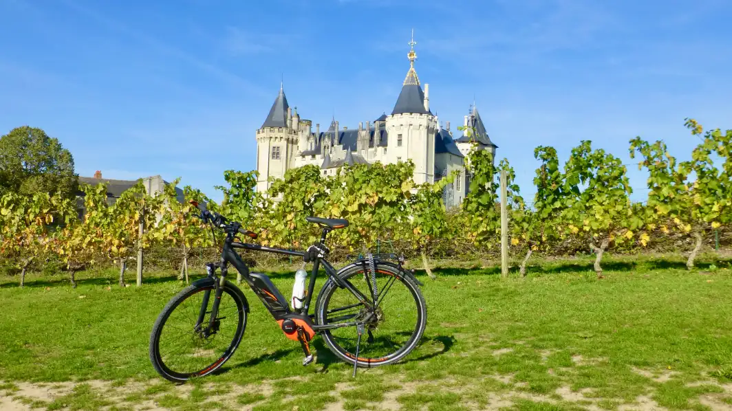 De druivenpluk in bij de Loire De druivenpluk in bij de Loire