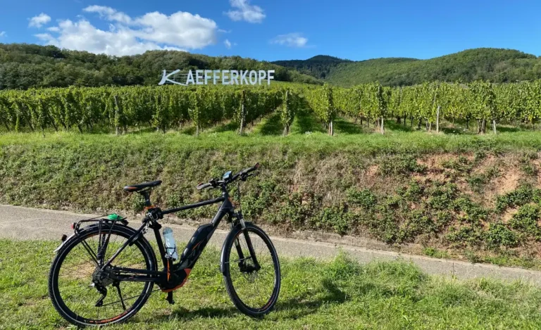 Fietsen in de Elzas bij Turckheim